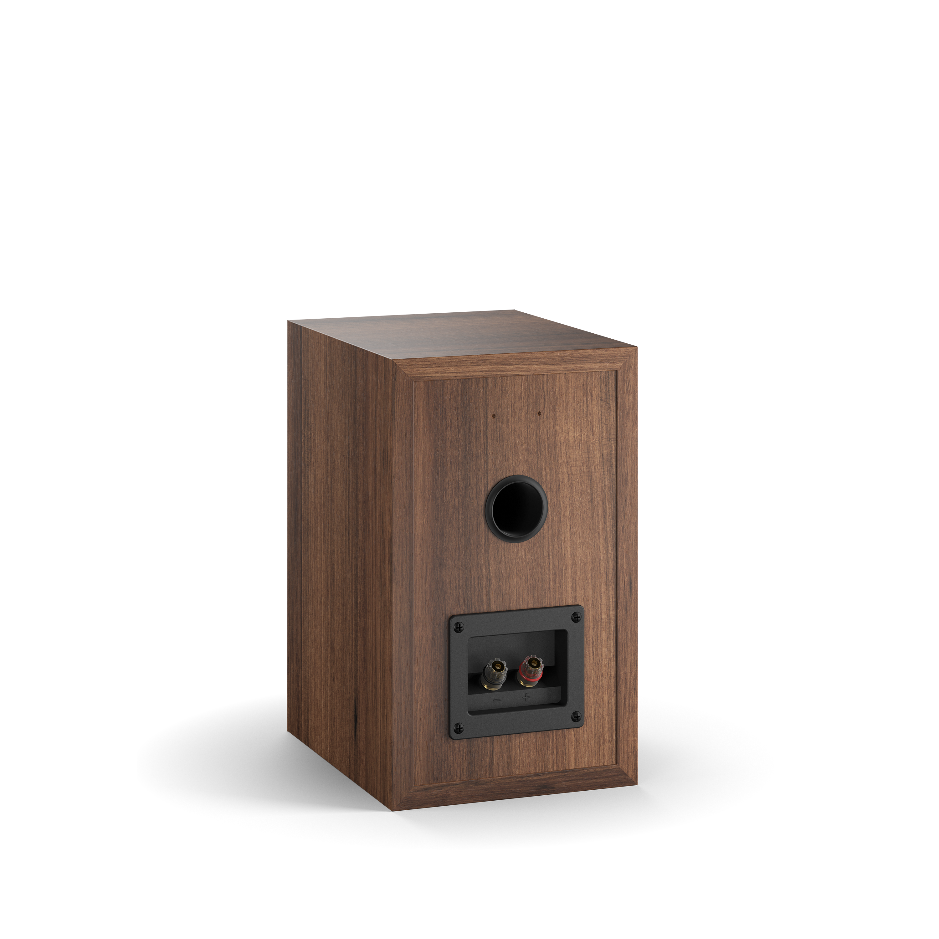 DALI SPEKTOR 2 ウォルナット Dali Spektor 2 Review | Crackling Sound